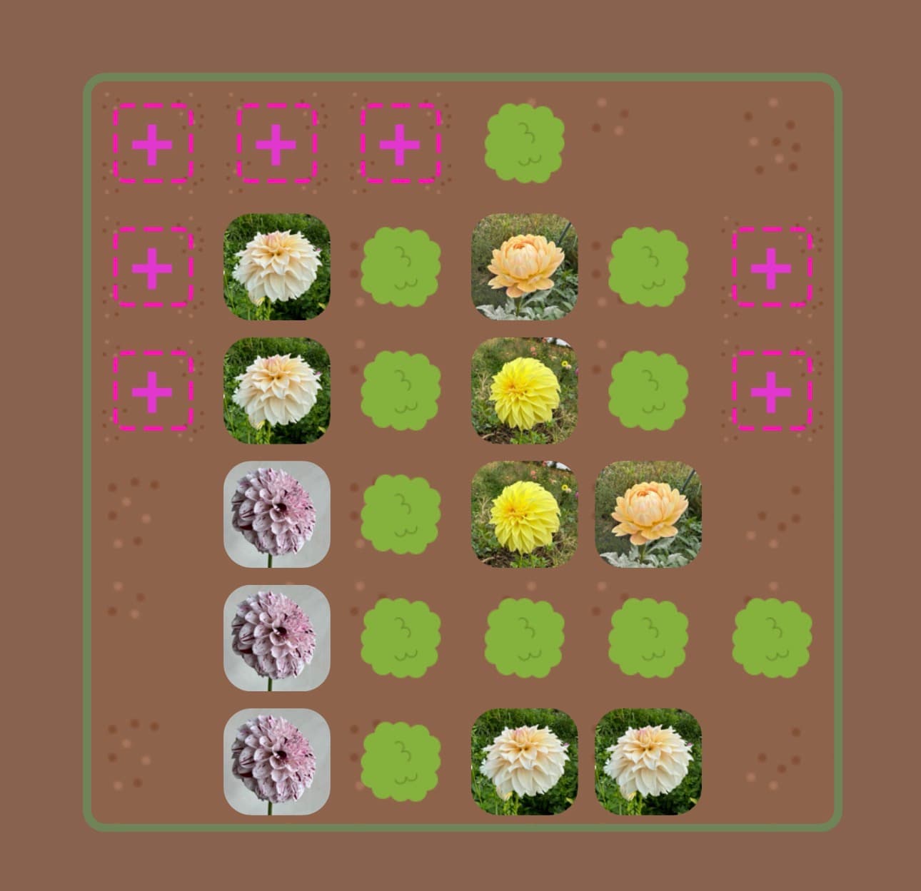 Dahlia detail screen with bloom performance notes and visual layout context